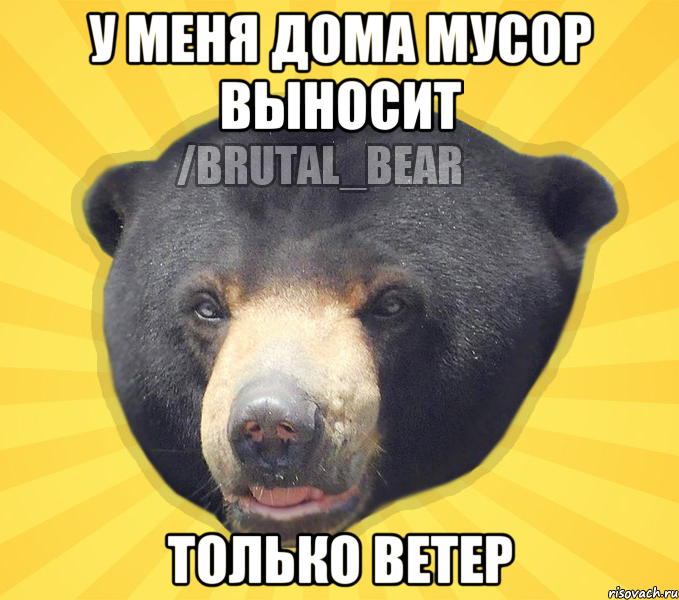 У МЕНЯ ДОМА МУСОР ВЫНОСИТ ТОЛЬКО ВЕТЕР