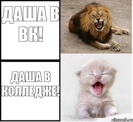 Даша в ВК! Даша в Колледже!