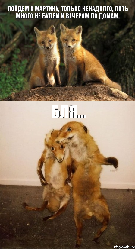 Пойдем к Мартину, только ненадолго, пить много не будем и вечером по домам. БЛЯ..., Комикс Лисицы