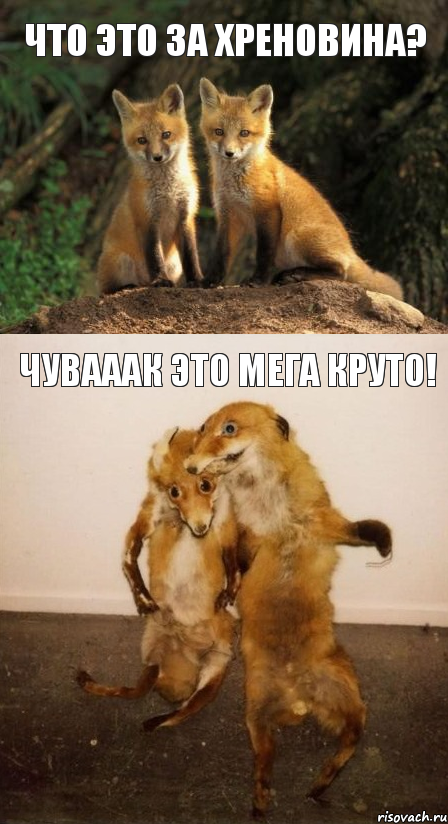 ЧТО ЭТО ЗА ХРЕНОВИНА? ЧУВАААК ЭТО МЕГА КРУТО!, Комикс Лисицы