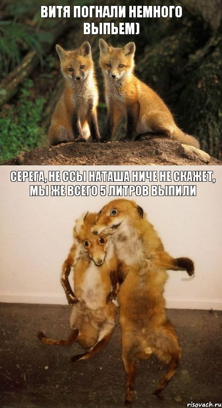 Витя погнали немного выпьем) Серега, не ссы наташа ниче не скажет, мы же всего 5 литров выпили, Комикс Лисицы
