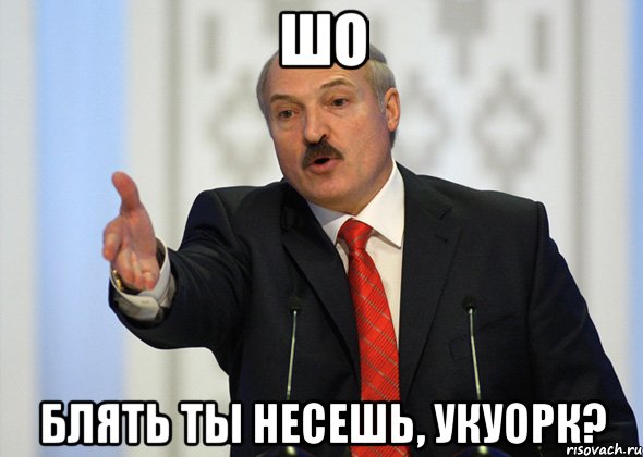 ШО БЛЯТЬ ТЫ НЕСЕШЬ, УКУОРК?, Мем лукашенко