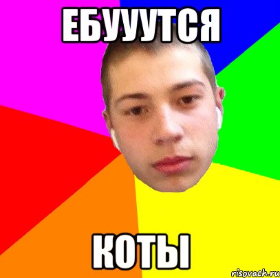 ебууутся коты