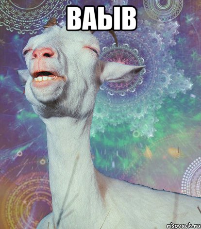 ваыв , Мем мага ты ювелир