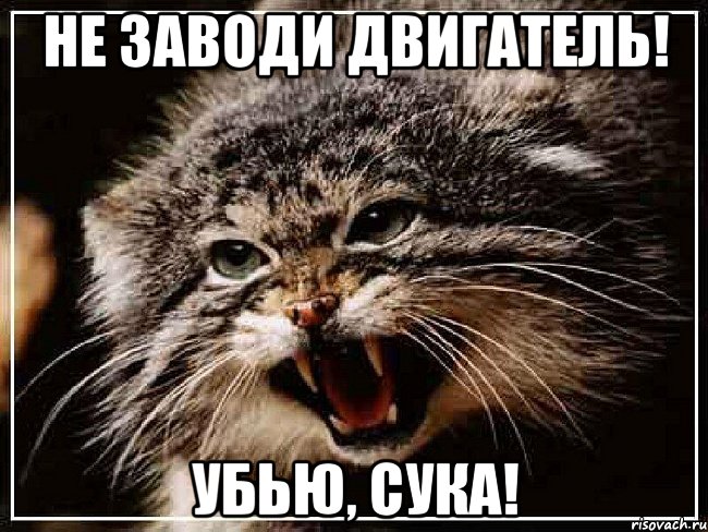 НЕ ЗАВОДИ ДВИГАТЕЛЬ! Убью, СУКА!