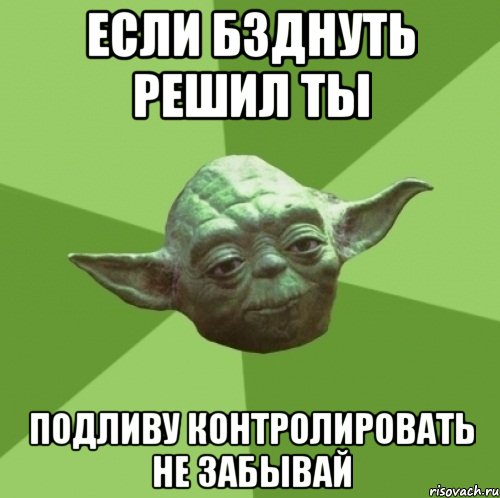 ЕСЛИ БЗДНУТЬ РЕШИЛ ТЫ ПОДЛИВУ КОНТРОЛИРОВАТЬ НЕ ЗАБЫВАЙ, Мем Мастер Йода