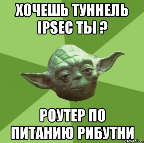 Хочешь туннель IPSeC ты ? Роутер по питанию рибутни, Мем Мастер Йода