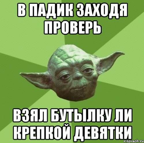 В ПАДИК ЗАХОДЯ ПРОВЕРЬ ВЗЯЛ БУТЫЛКУ ЛИ КРЕПКОЙ ДЕВЯТКИ, Мем Мастер Йода