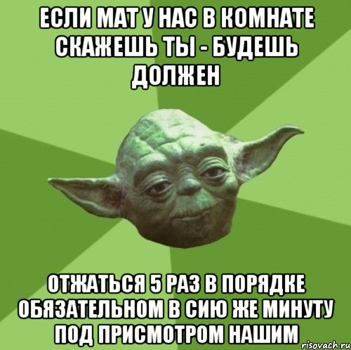 Если мат у нас в комнате скажешь ты - будешь должен отжаться 5 раз в порядке обязательном в сию же минуту под присмотром нашим, Мем Мастер Йода