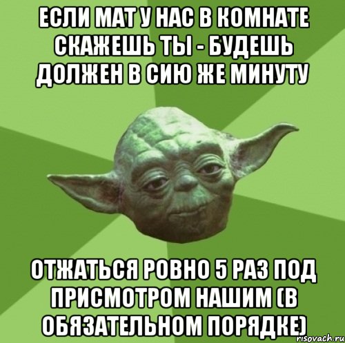 Если мат у нас в комнате скажешь ты - будешь должен в сию же минуту отжаться ровно 5 раз под присмотром нашим (в обязательном порядке), Мем Мастер Йода