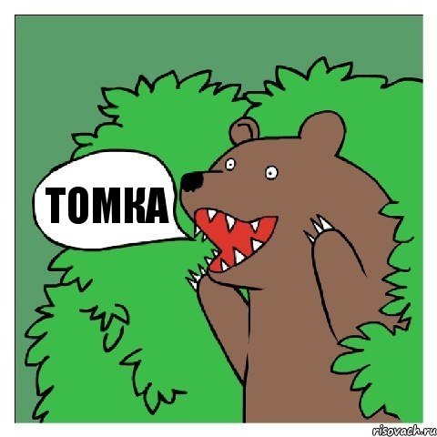Томка, Комикс Медведь (шлюха)