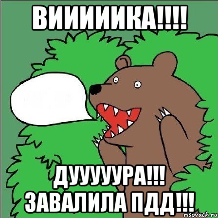 Вииииика!!!! Дууууура!!! Завалила ПДД!!!, Мем Медведь-шлюха