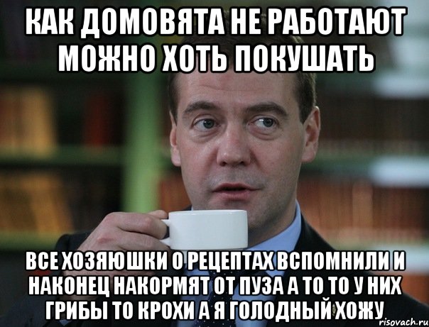 как домовята не работают можно хоть покушать все хозяюшки о рецептах вспомнили и наконец накормят от пуза а то то у них грибы то крохи а я голодный хожу, Мем Медведев спок бро