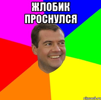 жлобик проснулся , Мем  Медведев advice