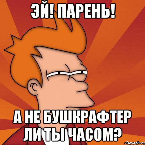 Эй! Парень! А не бушкрафтер ли ты часом?, Мем Мне кажется или (Фрай Футурама)