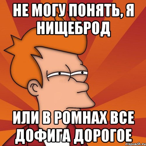 не могу понять, я нищеброд или в ромнах все дофига дорогое, Мем Мне кажется или (Фрай Футурама)