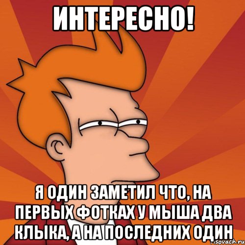 Интересно! я один заметил что, на первых фотках у мыша два клыка, а на последних один, Мем Мне кажется или (Фрай Футурама)