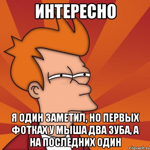 Интересно я один заметил, но первых фотках у мыша два зуба, а на последних один