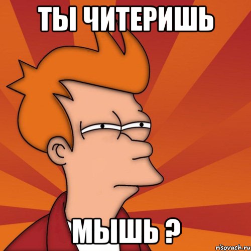 Ты ЧиТеРиШь МыШь ?, Мем Мне кажется или (Фрай Футурама)