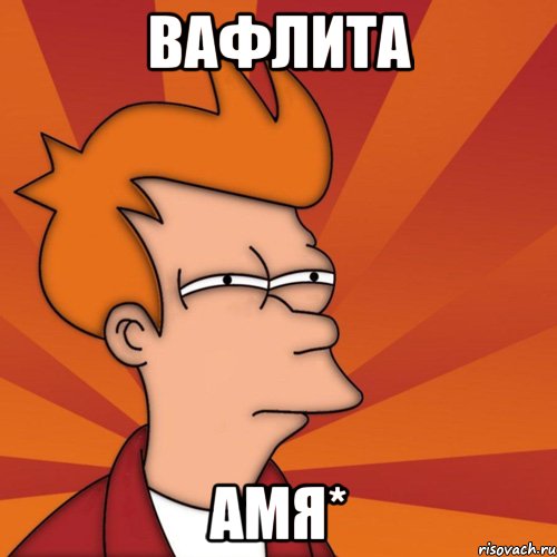 вафлита амя*, Мем Мне кажется или (Фрай Футурама)