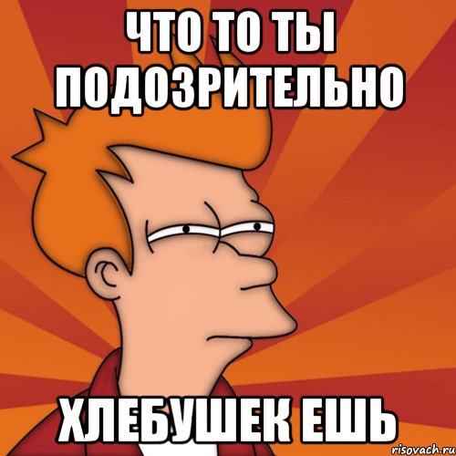 что то ты подозрительно хлебушек ешь, Мем Мне кажется или (Фрай Футурама)