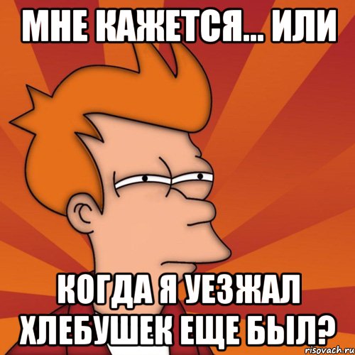 мне кажется... или когда я уезжал хлебушек еще был?, Мем Мне кажется или (Фрай Футурама)