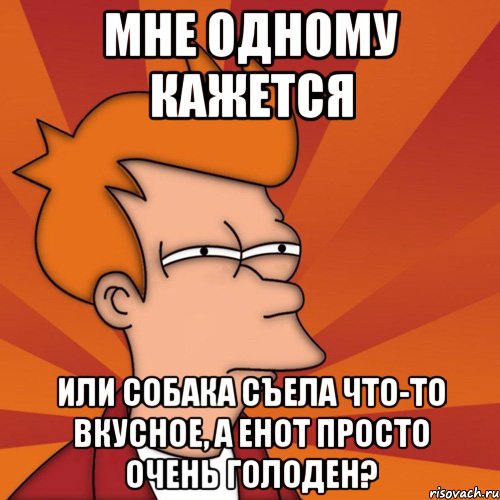 Мне одному кажется или собака съела что-то вкусное, а Енот просто очень голоден?, Мем Мне кажется или (Фрай Футурама)