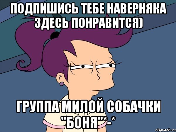 подпишись тебе наверняка здесь понравится) Группа милой собачки "БОНЯ"*-*, Мем Мне кажется или (с Лилой)