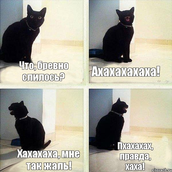 Что, бревно слилось? Ахахахахаха! Хахахаха, мне так жаль! Пхахахах, правда, хаха!