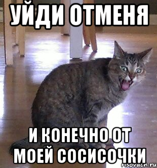 УЙДИ ОТМЕНЯ И КОНЕЧНО ОТ МОЕЙ СОСИСОЧКИ, Мем модератор