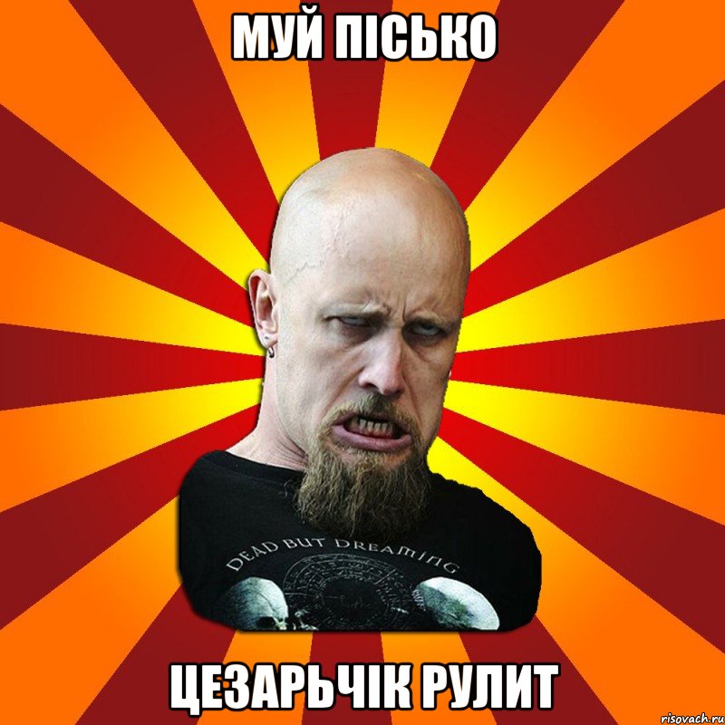 муй пісько цезарьчік рулит, Мем Мое лицо когда