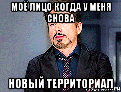 Моё лицо когда у меня снова новый территориал