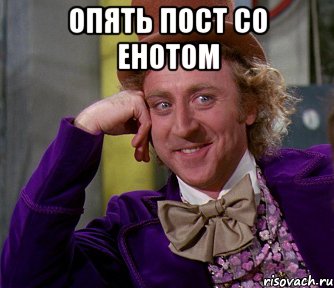 Опять пост со енотом , Мем мое лицо