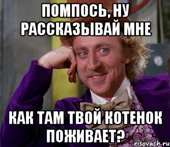 Помпось, ну рассказывай мне как там твой котенок поживает?, Мем мое лицо