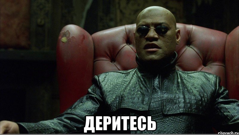  деритесь
