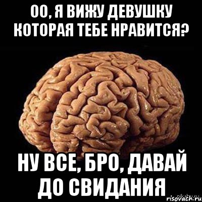 Оо, я вижу Девушку которая тебе нравится? Ну все, бро, давай до свидания, Мем мозг