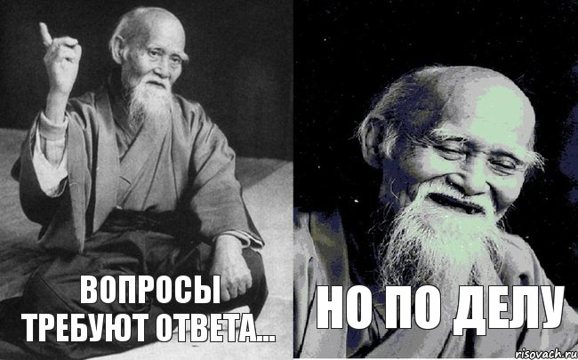 Вопросы требуют ответа... но по делу, Комикс Мудрец-монах (2 зоны)