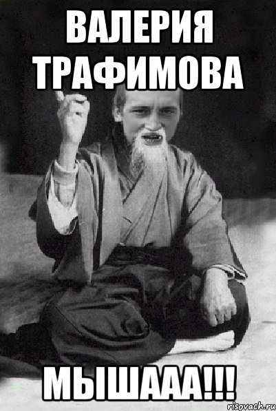 Валерия Трафимова Мышааа!!!, Мем Мудрий паца