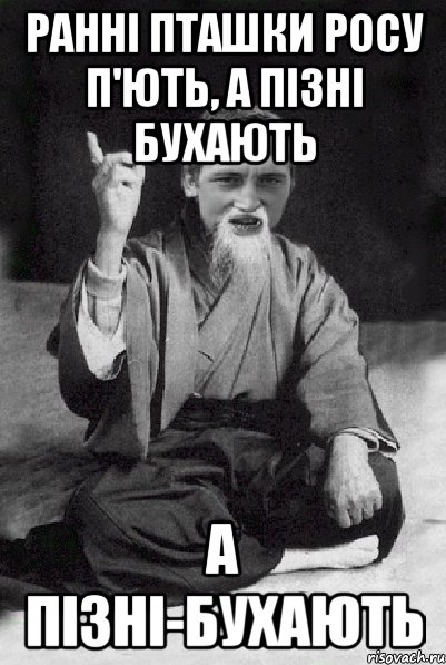 Ранні пташки росу п'ють, а пізні бухають а пізні-бухають, Мем Мудрий паца