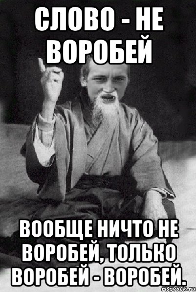 Слово - не воробей вообще ничто не воробей, только воробей - воробей., Мем Мудрий паца