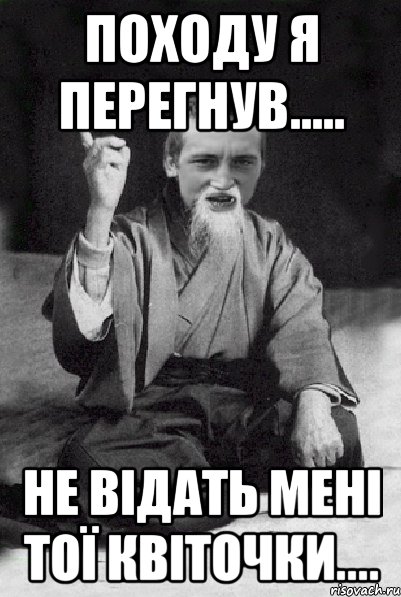 походу я перегнув..... не відать мені тої квіточки...., Мем Мудрий паца