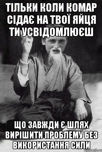 тільки коли комар сідає на твої яйця ти усвідомлюєш що завжди є шлях вирішити проблему без використання сили, Мем Мудрий паца