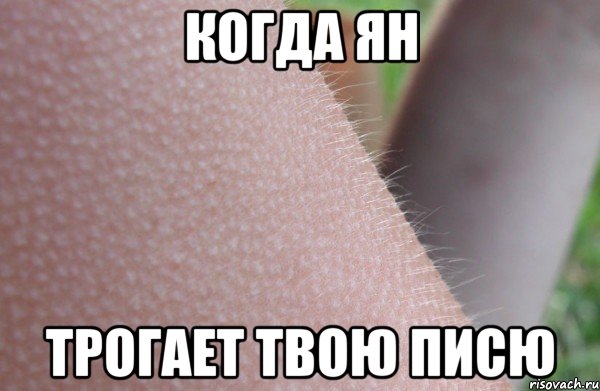 когда ян трогает твою писю