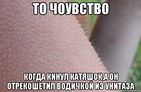 То чоувство Когда кинул катяшок,а он отрекошетил водичкой из унитаза