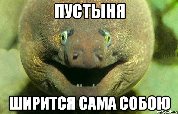 пустыня ширится сама собою, Мем мурена