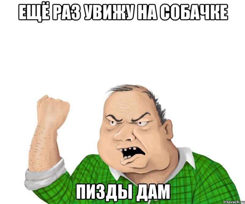 Ещё раз увижу на собачке Пизды дам, Мем мужик