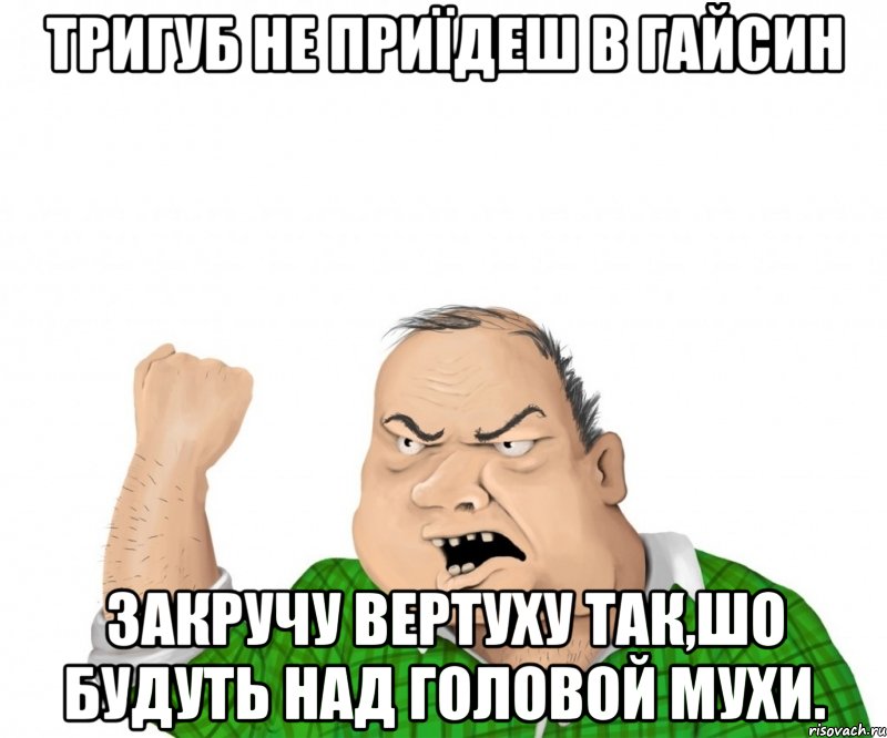 Тригуб не приїдеш в Гайсин закручу вертуху так,шо будуть над головой мухи., Мем мужик