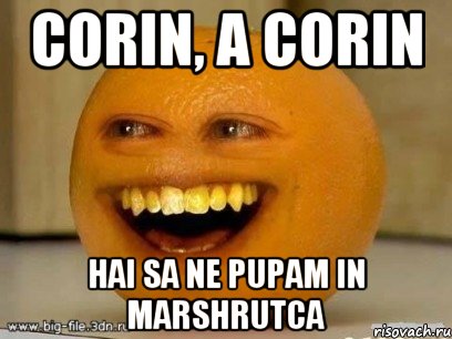 Corin, a Corin hai sa ne pupam in marshrutca, Мем Надоедливый апельсин