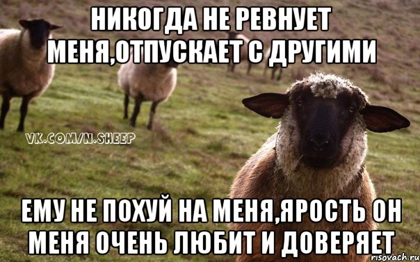 Никогда не ревнует меня,отпускает с другими Ему не похуй на меня,ярость он меня очень любит и доверяет, Мем  Наивная Овца