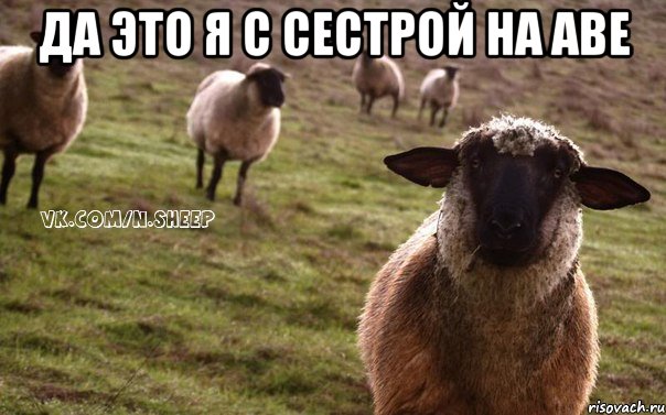 да это я с сестрой на аве , Мем  Наивная Овца